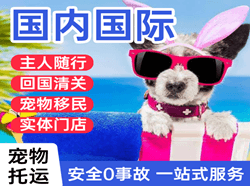 烟台蓬莱国际宠物托运 【国